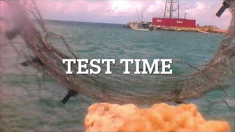 How to make a fish trap using old chicken wire | Chicken wire fish trap