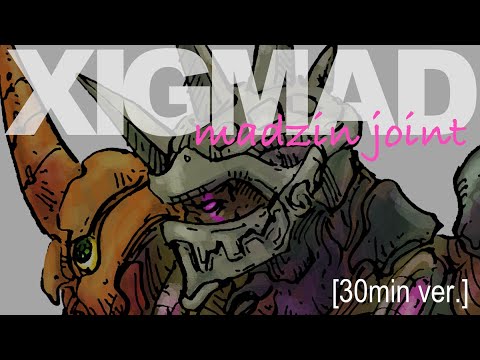 [timelapse] XIGMAD madzinjoint 220613 [30min ver.]