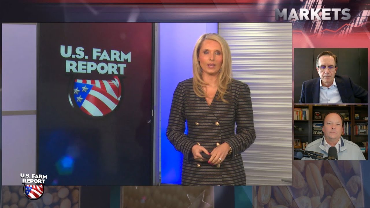 How the Iran Conflict Could Shrink U.S. Corn Plantings This Spring