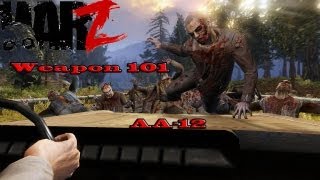 The Warz - Weapon 101 AA-12