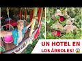 Dormí en un HOTEL DE LUJO SOBRE LOS ÁRBOLES! 😱🌳🇩🇴 | Alex Tienda ✈️