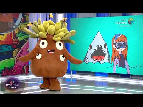 ¿Realmente son malos los tiburones? Frailejón Ernesto Pérez te lo explica en #LaNotaMásPura