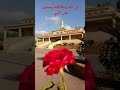 يا مسلمين صلو على النبي يا مسلمين صلو على النبي