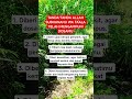 TANDA-TANDA ALLAH SUBHANAHU WA TA'ALA MENGAMPUNI MU #motivasihidup #shortvideo #dakwah
