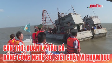 Cần Thơ: Quản lý tàu cá bằng công nghệ số, siết chặt vi phạm IUU | CT-TDT