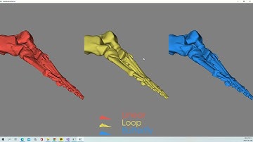 VTK  Example -  SubdivisionDemo - Cxx