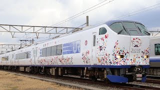 JR西日本・関空特急「ハローキティはるか」が間もなくデビュー 報道陣