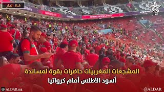 المشجعات المغربيات حاضرات بقوة لمساندة أسود الأطلس أمام كرواتيا