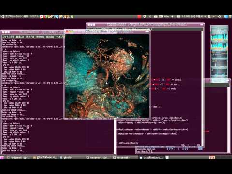 Volume Rendering Program using GPU ray-cast with VTK-5.7 on Ubuntu 10.10.