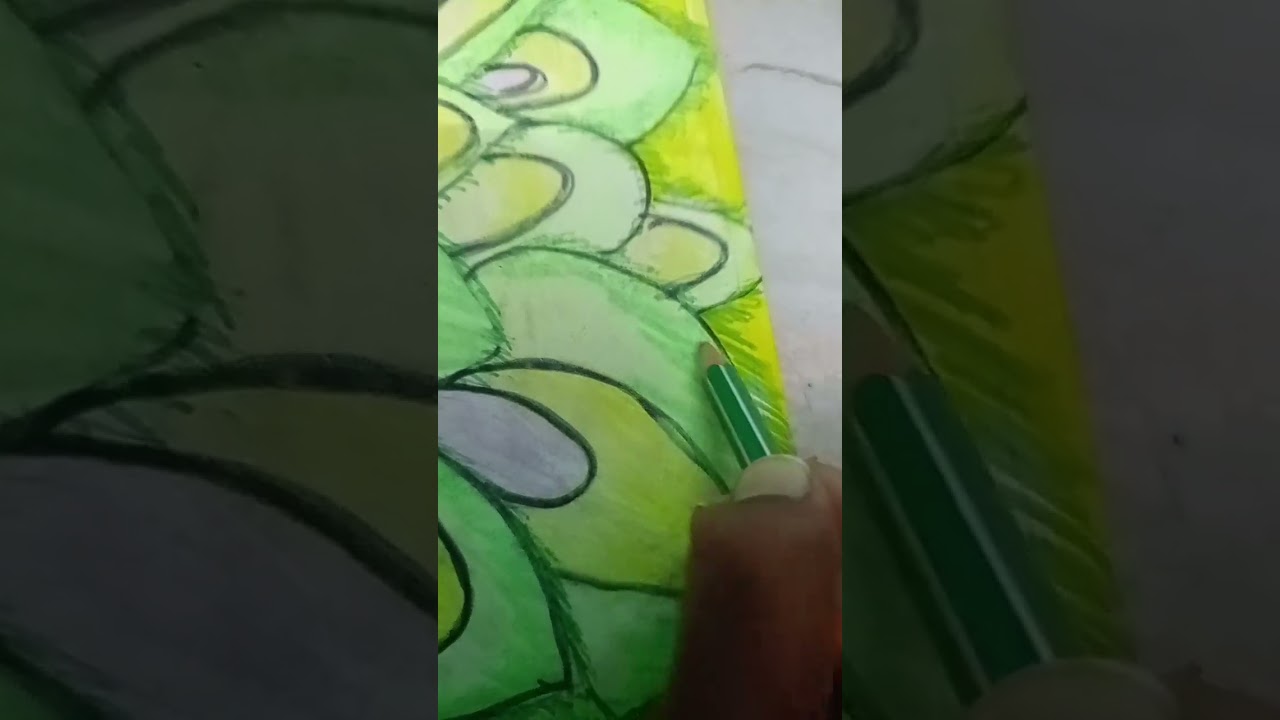 Peacock Drawing @ shorts