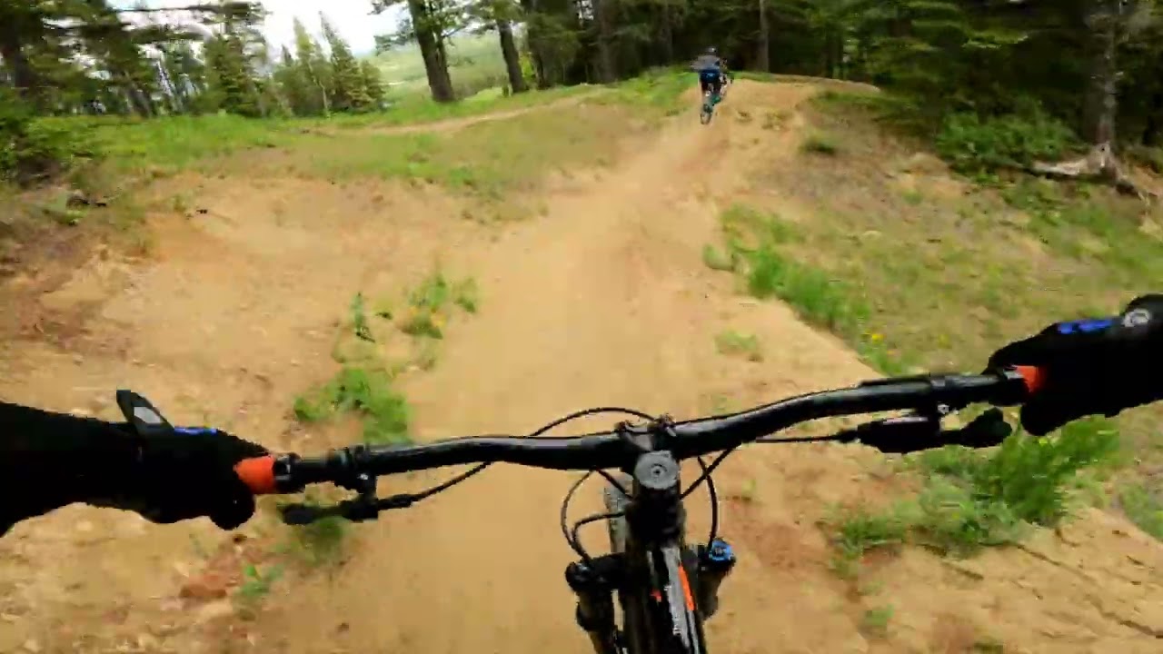 Elkwater canadiana blueflow