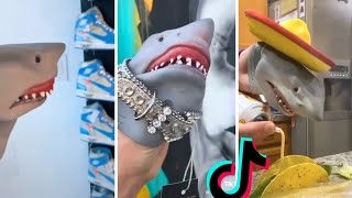 Funny Shark Puppet TikTok Compilation - Best Of Shark Puppet  Tik Tok ** NEW ** @SharkPuppet