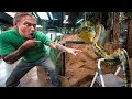 HUGE ANACONDA DOES SOMETHING I CAN'T BELIEVE!! BLOWN AWAY!! | BRIAN BARCZYK