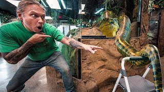 HUGE ANACONDA DOES SOMETHING I CAN'T BELIEVE!! BLOWN AWAY!! | BRIAN BARCZYK