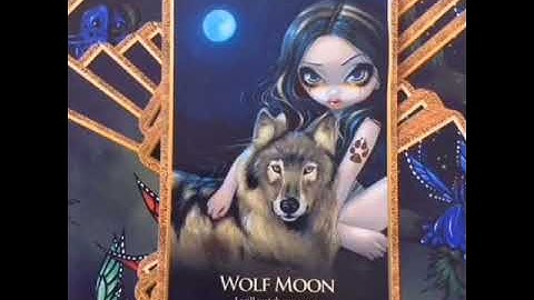 Learn Oracle Cards - Card 1 Wolf Moon Oracle Of The Shapeshifters