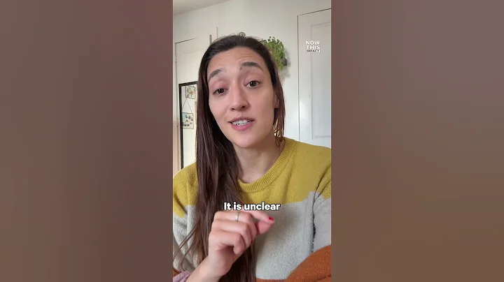 Release The Epstein Files