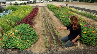 July Cut Flower Garden Tour! 🌸✂️💚 \/\/ Garden Answer