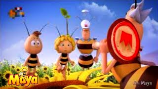 Arı Maya Özel Mülk Çizgi Filmi