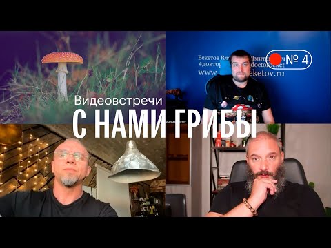 С нами грибы. Грибы и психические расстройства. Вишневский, Бекетов, Епифанцев