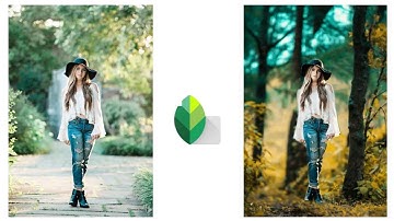 How to change background in snapseed full tutorial