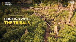 Hunting with the Tribals | Last of the Giants: Wild Fish | हिन्दी | National Geographic