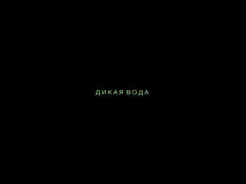 Тина Кароль— Дикая Вода (Lyric Video)