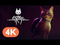 Stray - Official Reveal Trailer | PS5 Reveal Event