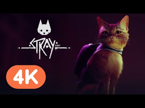 Stray - Official Reveal Trailer | PS5 Reveal Event