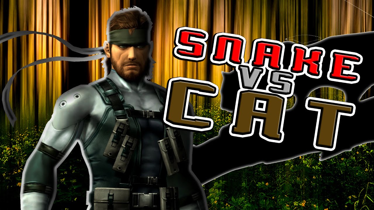 METAL GEAR: SNAKE VERSUS CAT - PARODY STATION VIDEOS #2