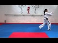 Chon Ji Tul and basic movements for grading to 8th kup