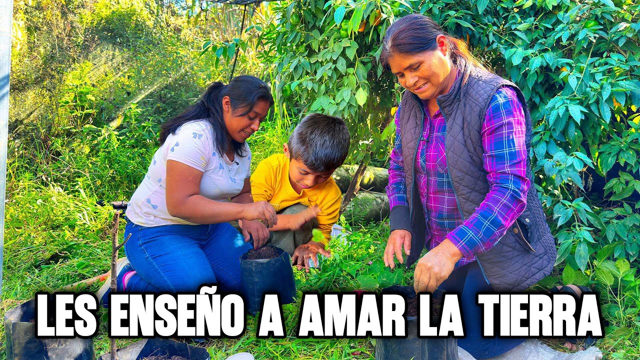 Les enseño a mi nuera y mis nietos a buscar abono del campo y sembrar semillas del chile canario