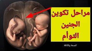 مراحل نمو الجنين التوأم في بطن الام 👼👼 #الصحةوالأناقة