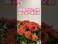 【澳日快趣】花都可拍賣？