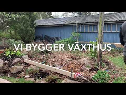 Video: Gör-det-själv-växthus av improviserade material. DIY mini-växthus