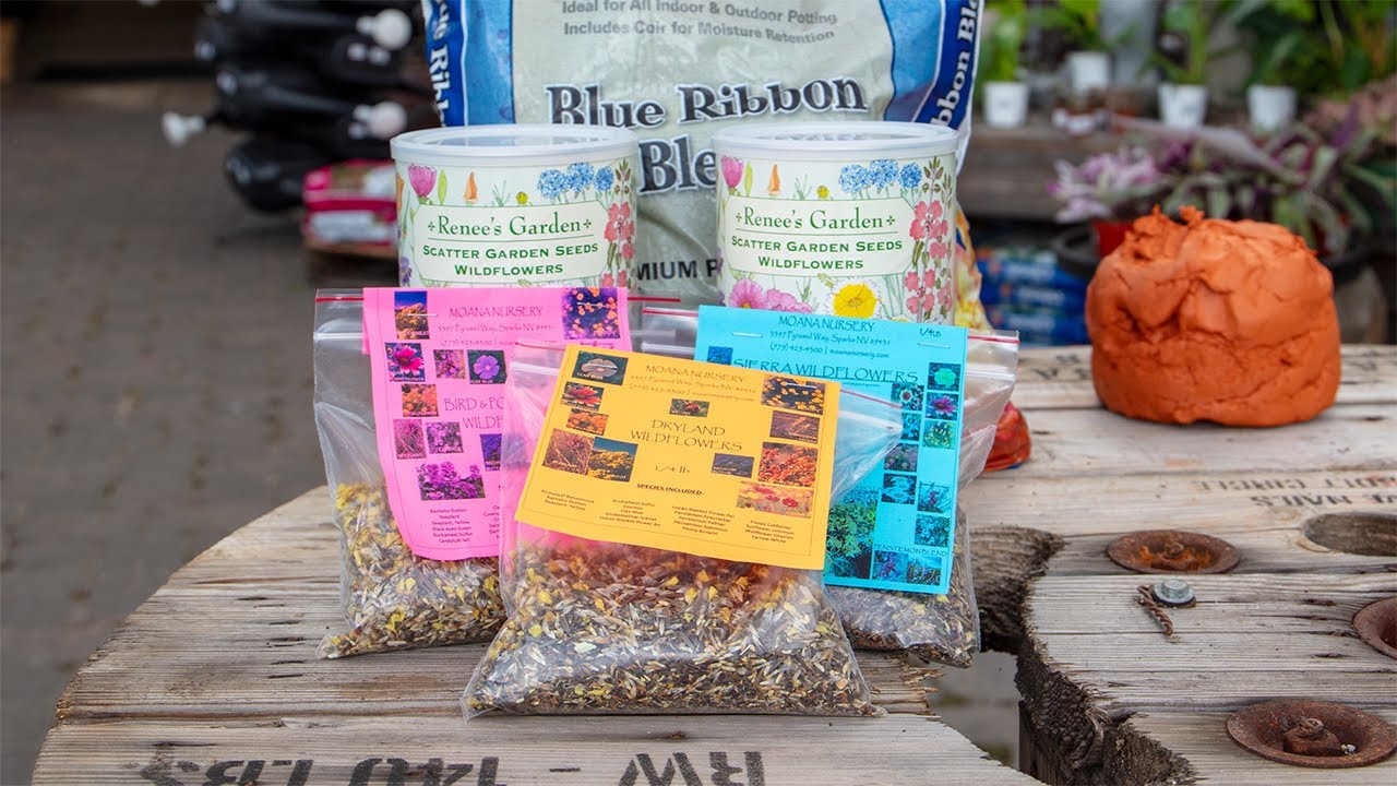 DIY Wildflower Seed Bombs