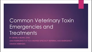 Common Veterinary Toxin Emergency Treatments