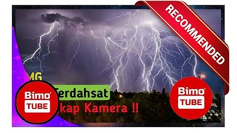 petir terbesar di dunia