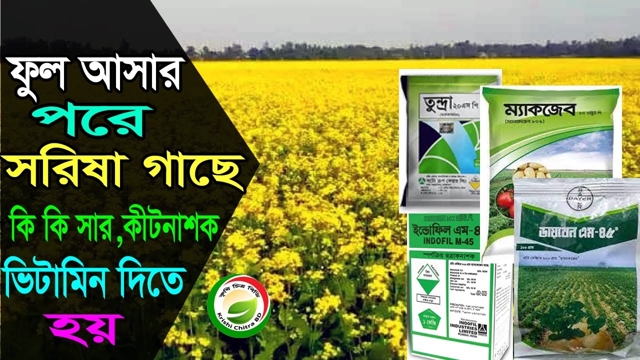 Barcha pornolarni onlayn tomosha qiling: katta eshakda katta sik