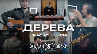 Жадан і Собаки - Дерева (The Cat Empire Cover)