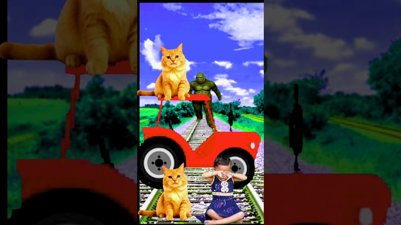 gorilla and white colour 🐈 baby girl 