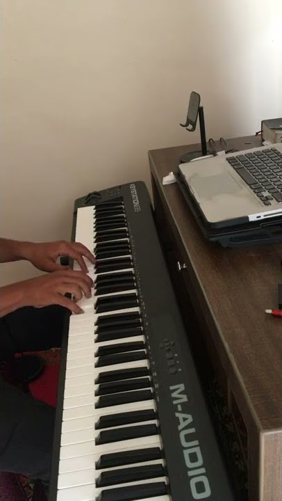 Persahabatan - Sherina #intro #verse #pianoshorts