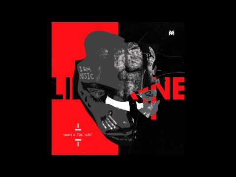 Lil Wayne - Inkredible Remix (Sorry 4 the Wait)