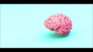 Alejandra Mora Orientacionpsicopedagogica