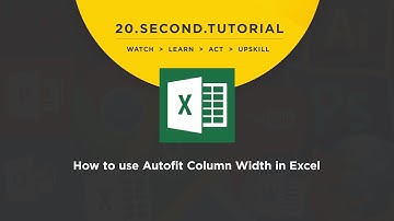OLDIE - How to use Autofit Column Width: Excel Tutorial #9