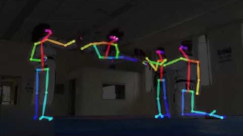 Quick test of computer vision pose estimation on martial arts video