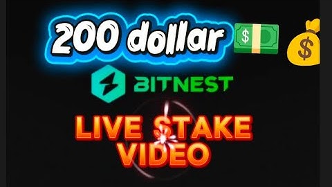 Bitnest stake video live. 16/11/2025