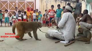 बंगाली जादुगर बन्दर बंदरिया का खेल || बच्चो का मनोरंजन= बच्चे हमारे चैनल को सब्सक्राइब जरूर करें