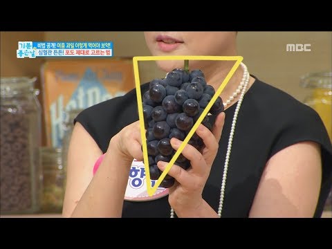 [Happyday]How to Choose grape 포도 제대로 골라보자! [기분 좋은 날] 20170530