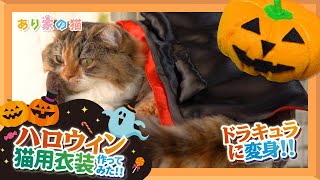 ハロウィンのドラキュラ猫用コスプレ衣装作ってみた【猫×コスプレ】