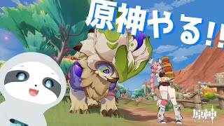 【原神】豊穣の邦の評判レベル上げたい！ - ナマケモノのぐーたら配信